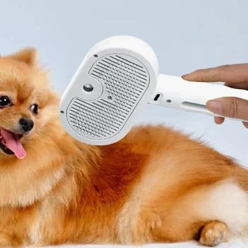 Mão escovando um lulu da pomerânia com a escova removedora de pelos